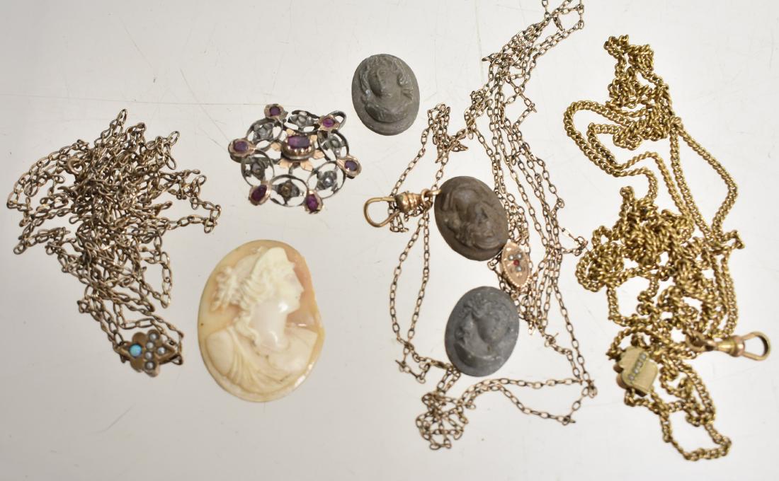 Victorian Slide Chains and Cameos (1 of 3)