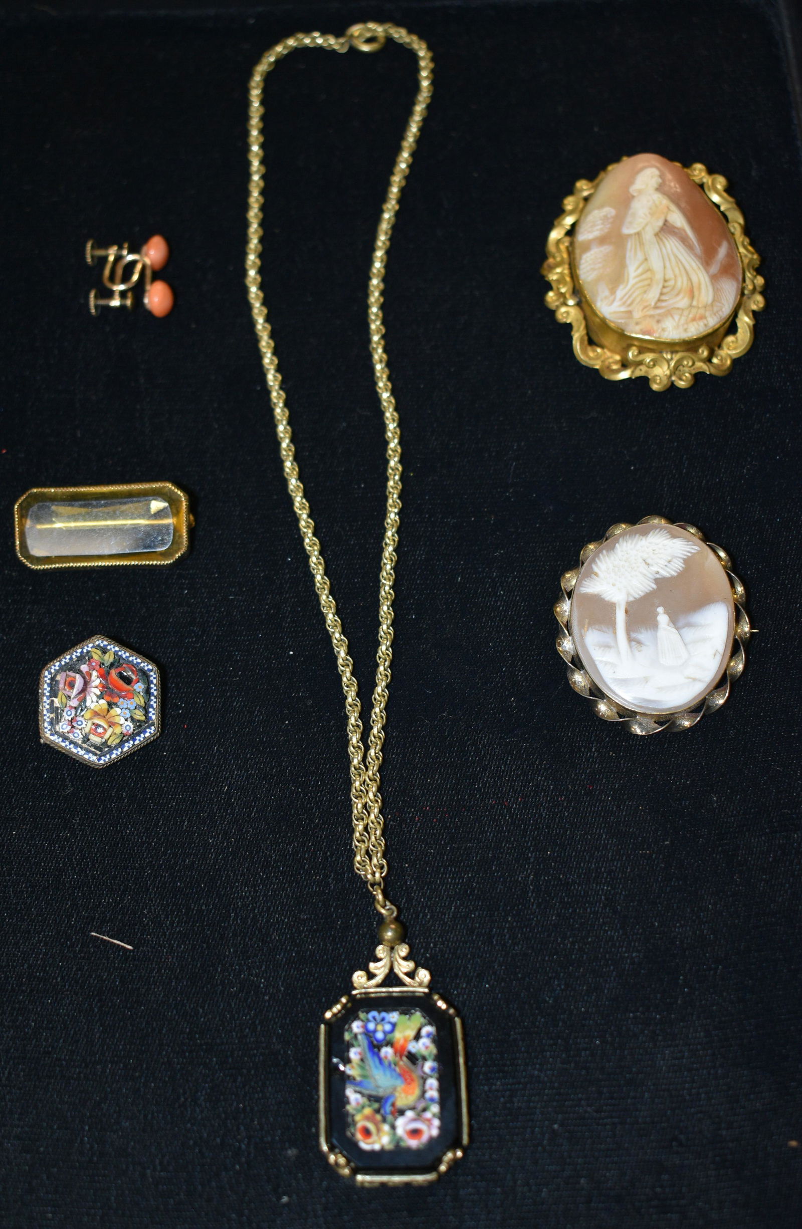 Victorian Jewelry Collection: includes two cameo brooches, micromosaic bird necklace, coral screwback earrings and two pins.