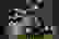 item-81743215=3