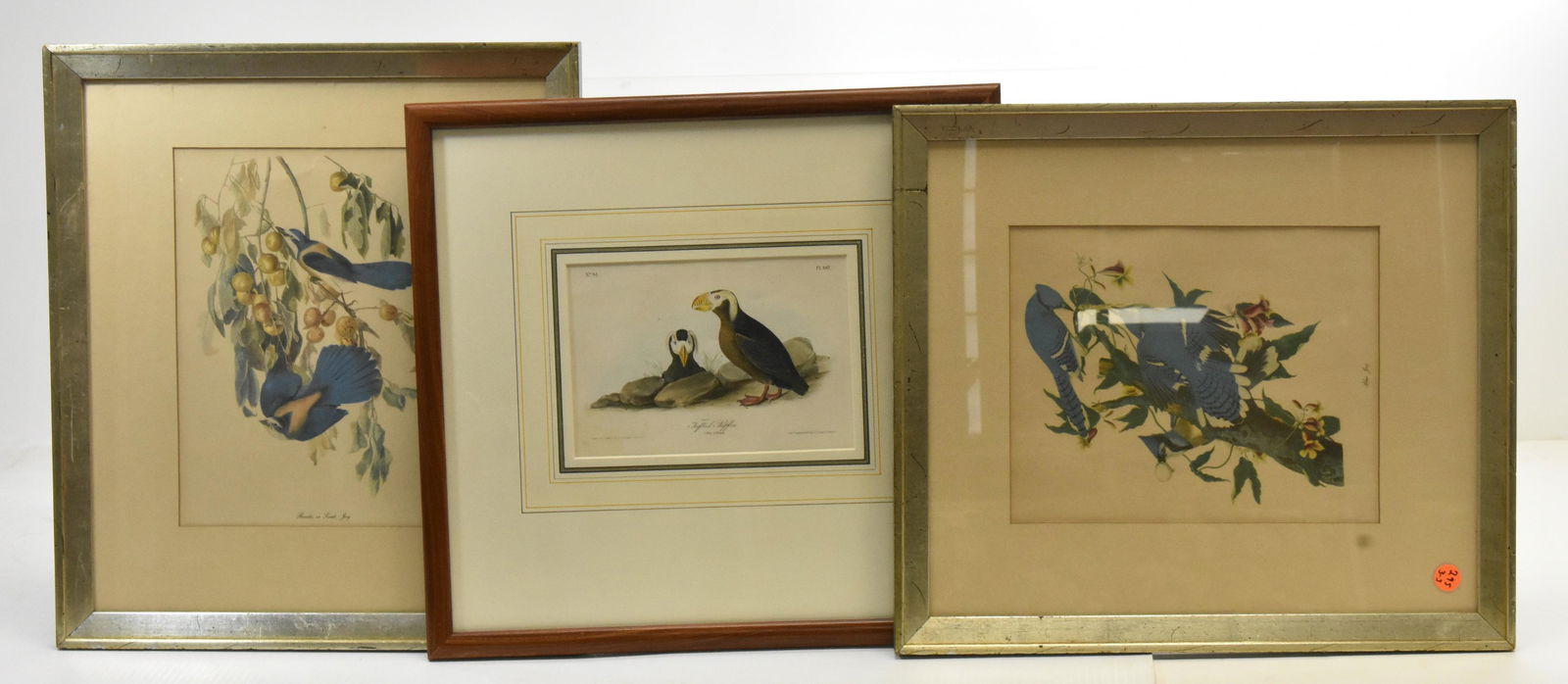 Three Aviary Lithographs (1 of 10)