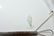 Miscellaneous Vintage Pottery and Porcelain - 3