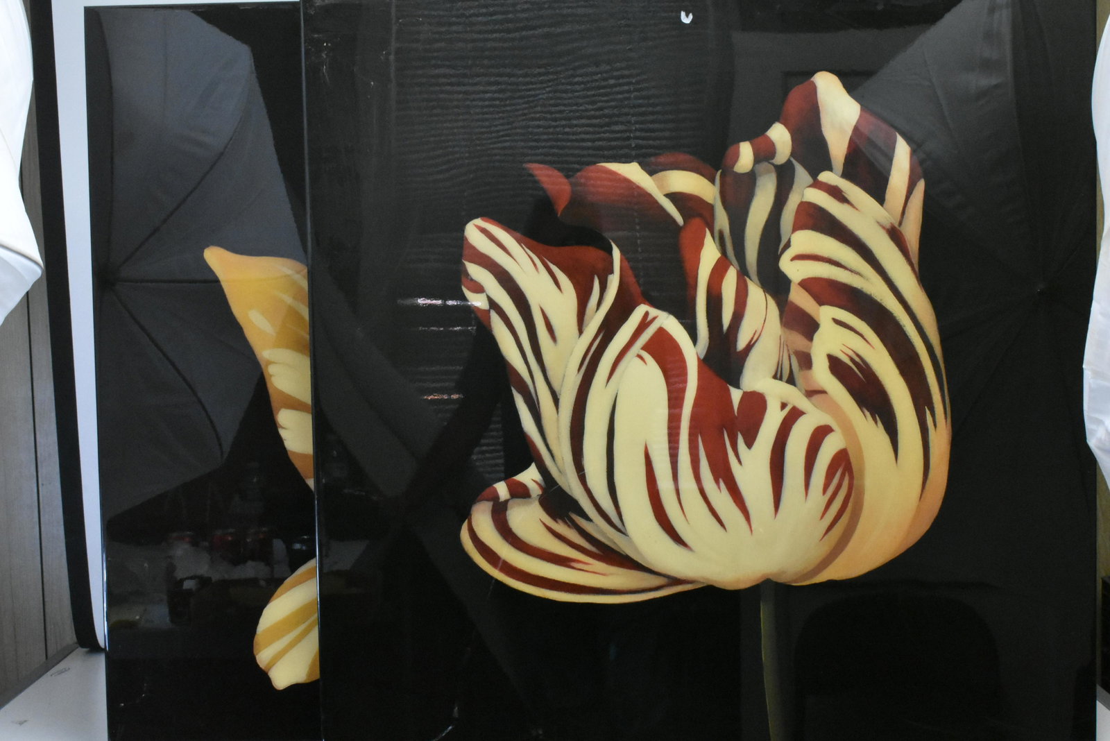 Pair of Large Hampton Hall Prints: Approximately 36"H x 35.5"W. Clear lucite over luan. First item titled " Parrot Tulip Study". Has original paperwork on back. The second is titled "Calla Lily". Has information on artist and original 