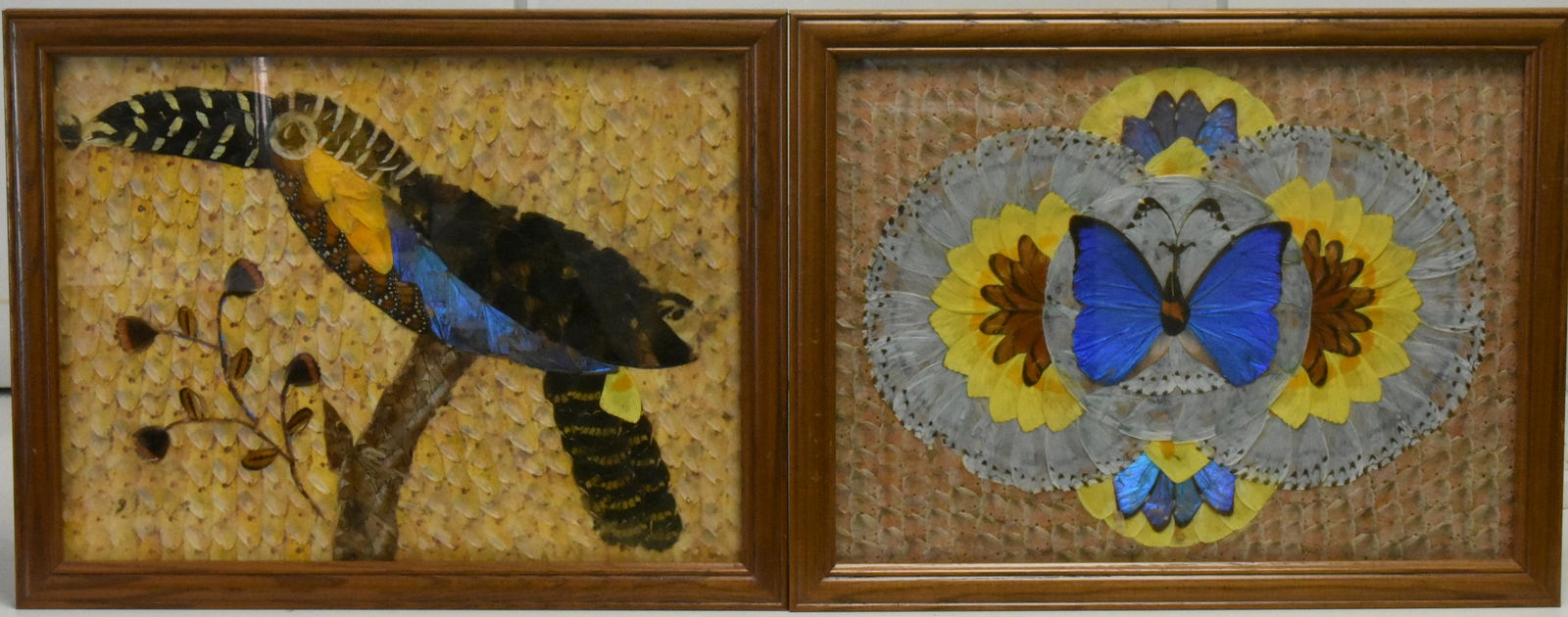 Butterfly Wing Art (1 of 3)