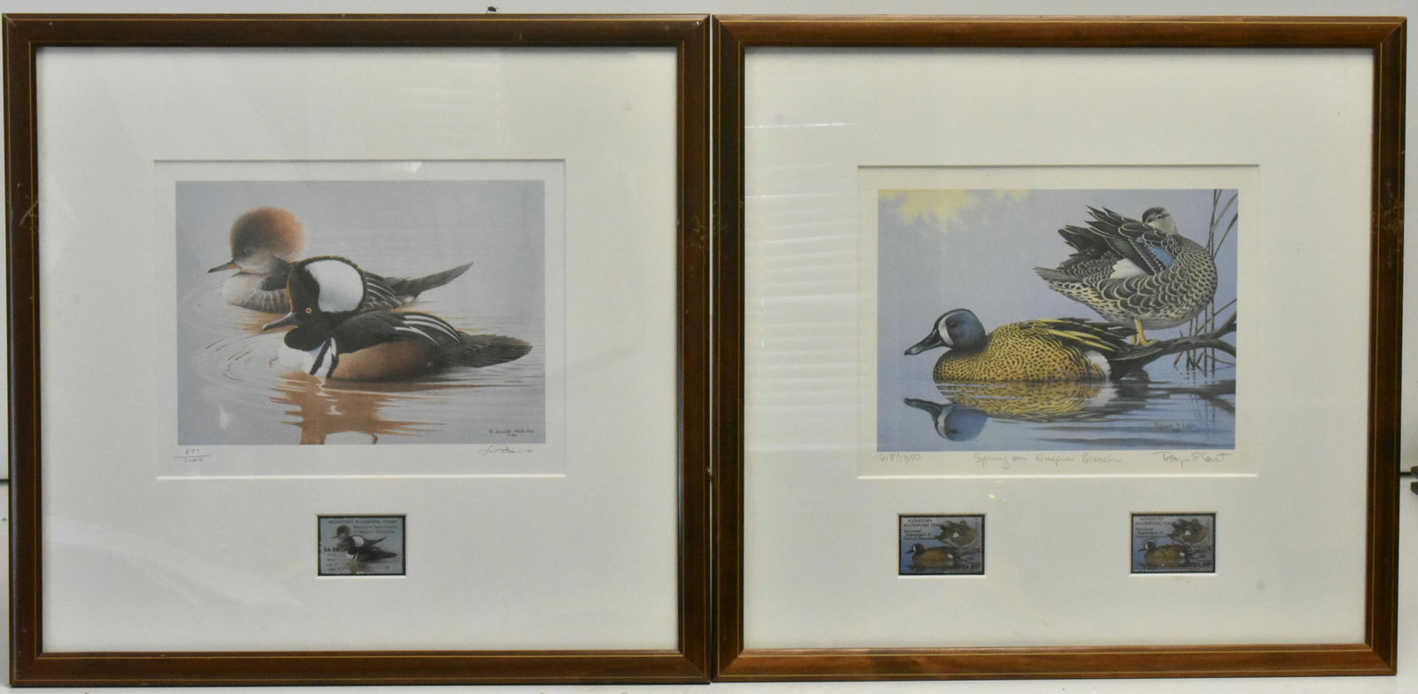 US Duck Stamp Prints by Lent & Fracino (1 of 13)