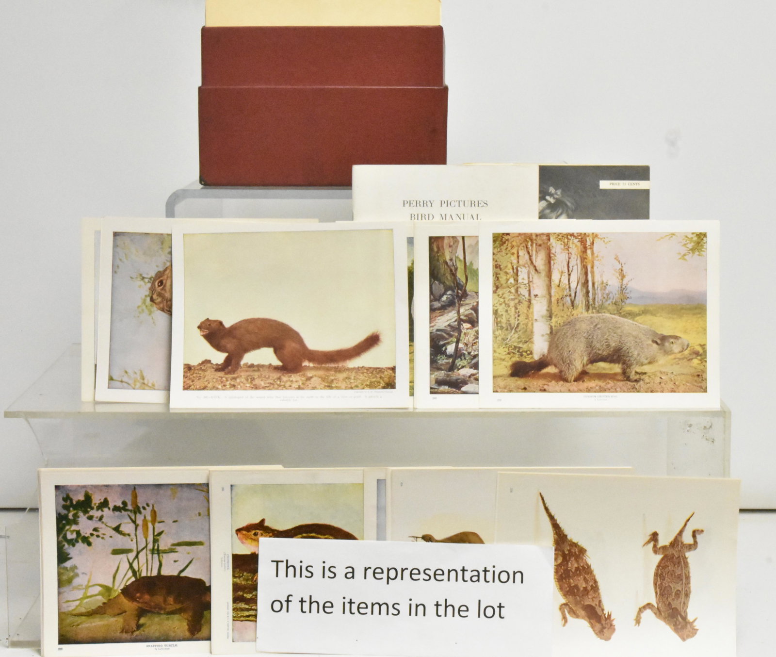 Full Set Catalog of The Perry Pictures: Lot is in original case. Includes what appears to be a complete set of The Perry Pictures bird manual, including hundreds of aviary prints in color. Also included in set are botanicals, and insects. S