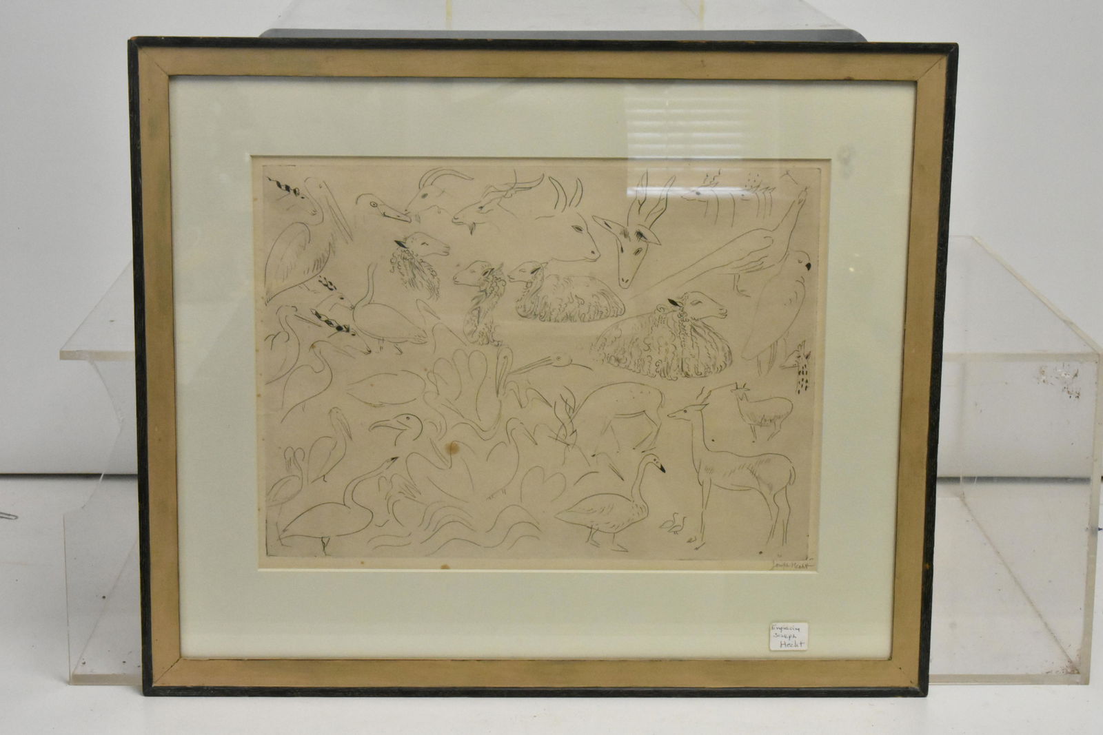 Engraving of Animals by Joseph Hecht (1 of 3)