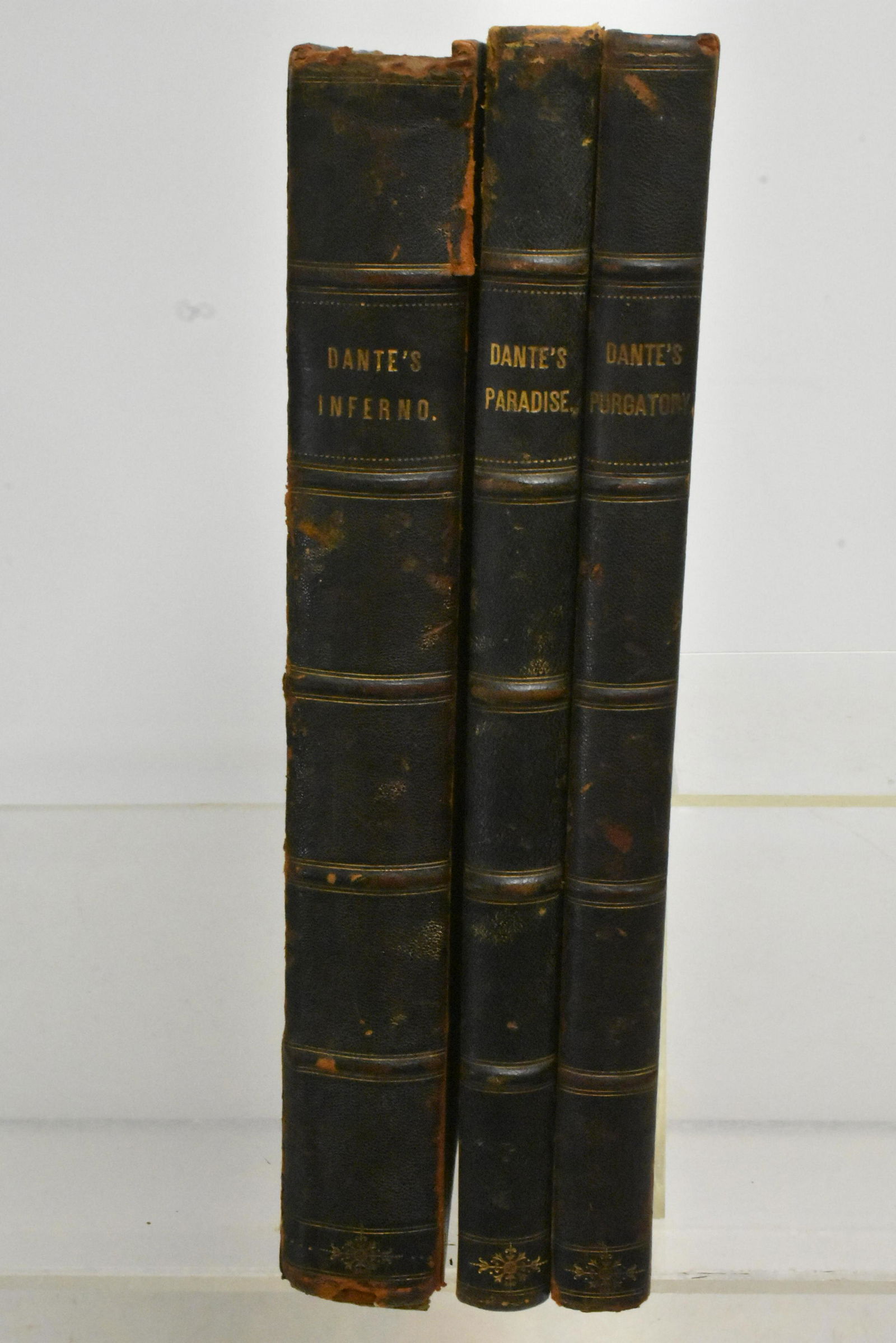 19th C Dante's Inferno, Paradise, Purgatory Books (1 of 11)