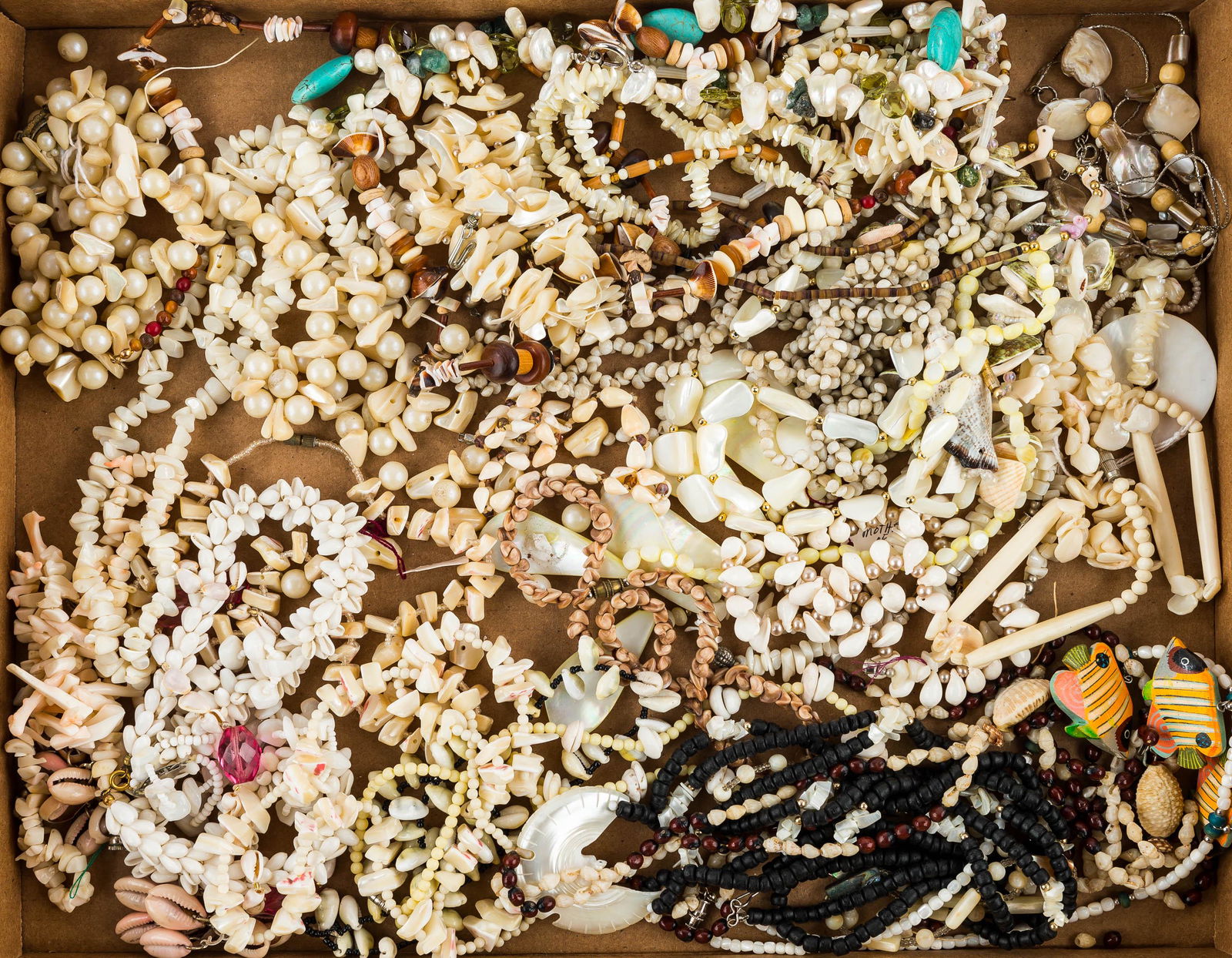 Shell and Coral Jewelry Grouping (1 of 1)