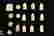 item-108066347=4
