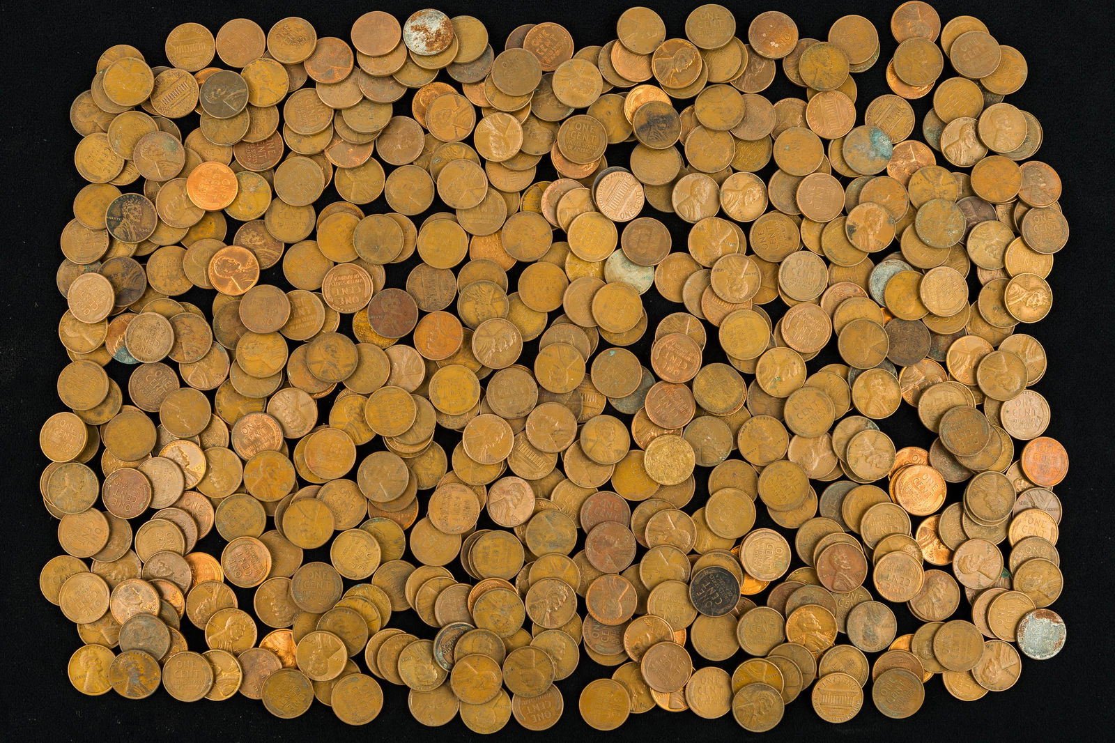 Wheat Penny Collection (1 of 4)