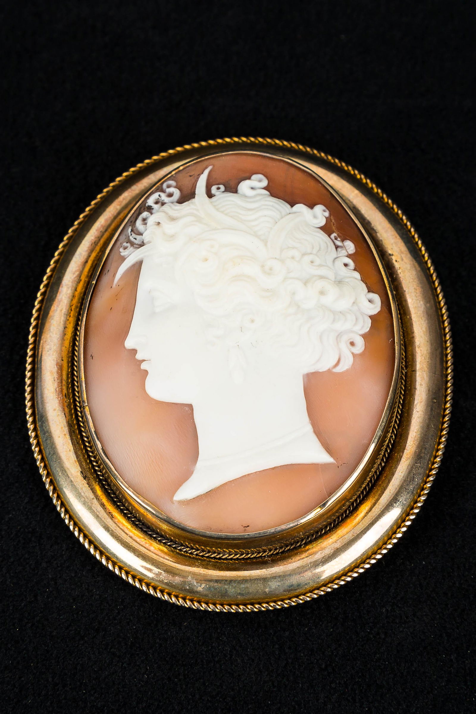 Victorian Cameo (1 of 2)
