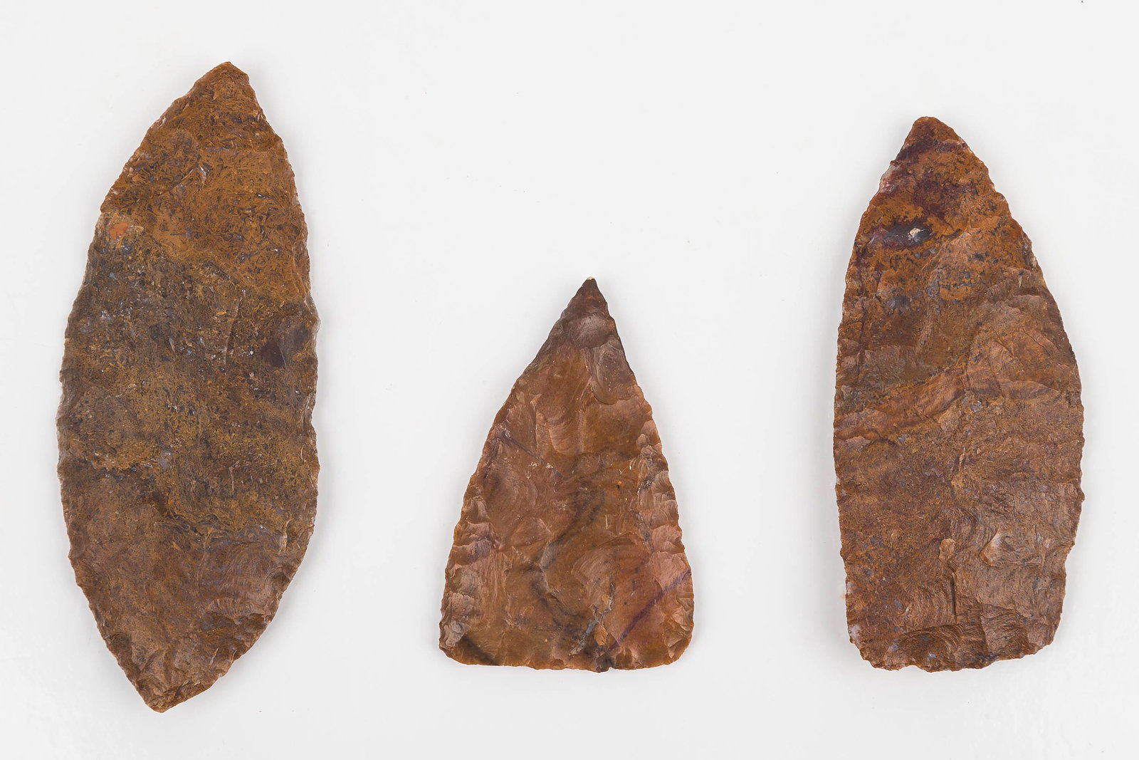 Petrified Wood Artifacts (3) Art Tatem Collection (1 of 5)