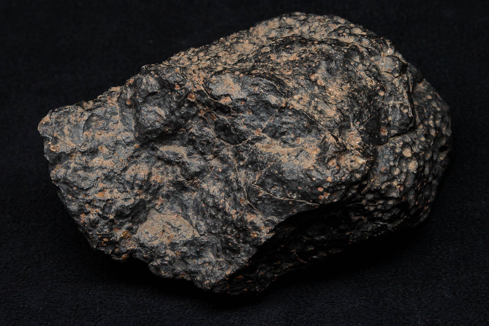Meteorite  / Western Sahara (1 of 7)