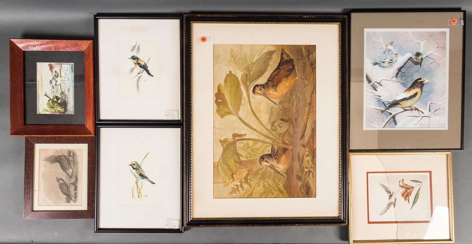 Bird Watercolors, Lithographs and Prints (7) (1 of 8)