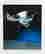 item-120990661=2