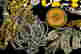 item-120990790=3