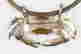 item-120990834=3