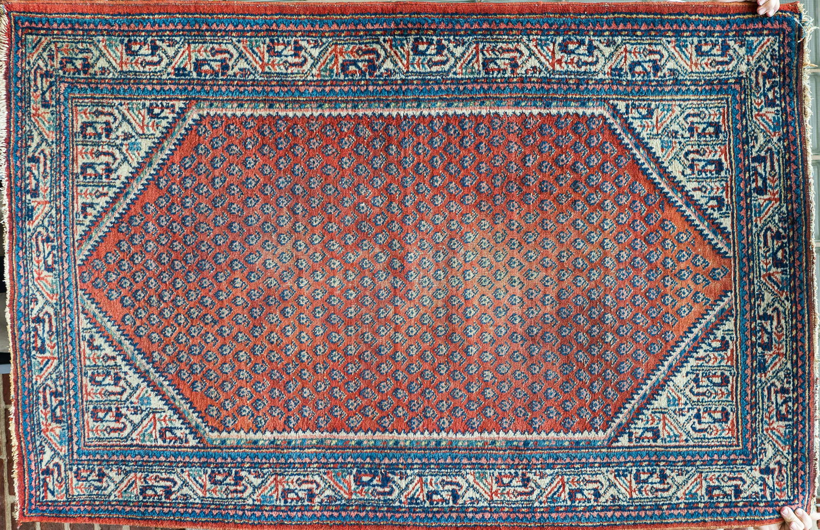 20th C Hand Woven Oriental Rug (1 of 3)