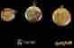 item-124575073=2