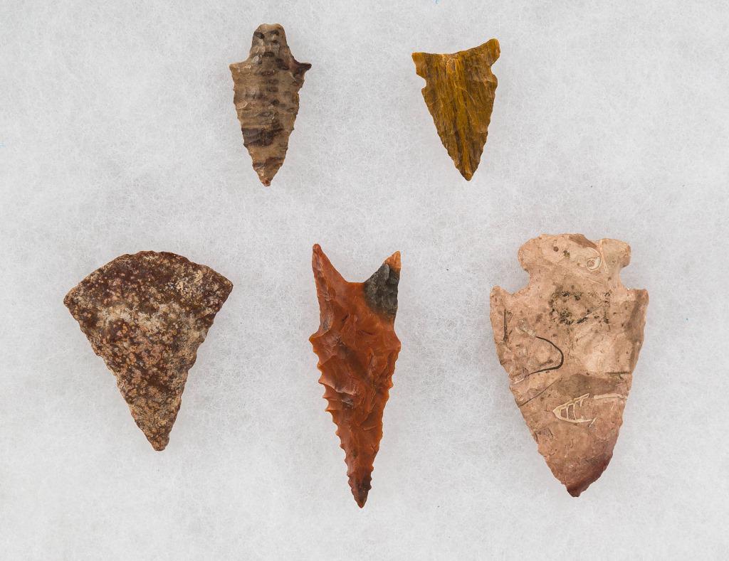 Petrified Wood Artifacts (4) Art Tatem Collection: Three arrowheads and a scraper. The 2 largest are labeled New Mexico. The longest is approx 2". All made from petrified wood. (white dots were collection markers) There is also a fossil chert arrowhea