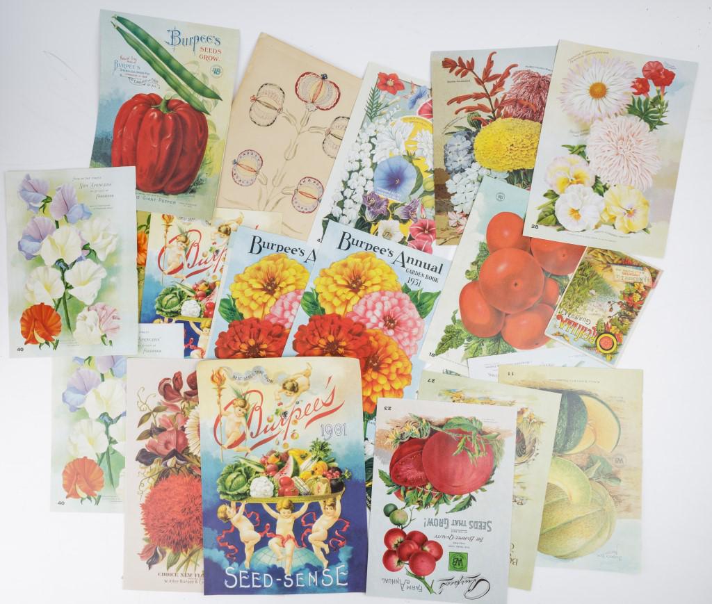 Antique Seed Ephemera: Victorian and early 20th Century seed catalog and epherema, including fraktur drawing, approx 20 pieces.