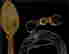 item-131783807=5