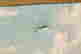 item-136435876=5