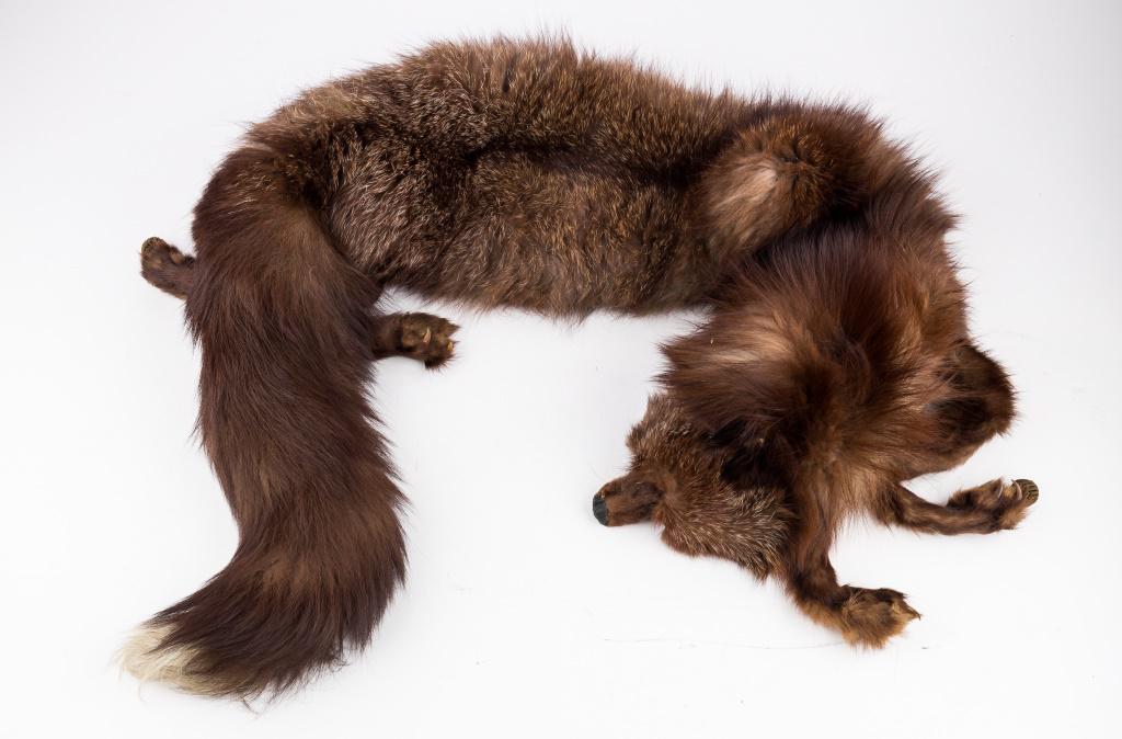 Fox Fur Stole/Cape (1 of 3)