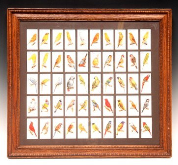 Player Cigarette Bird Cards: Framed complete collection of 50 player bird cards in a double sided frame