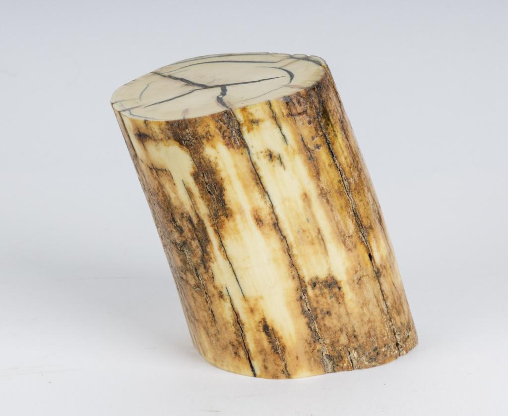 Fossil Wooly Mammoth Tusks (1205 g): These two real real fossilized wooly mammoth tusks from Alaska weigh approx 1205 g / 2 lb 10oz.