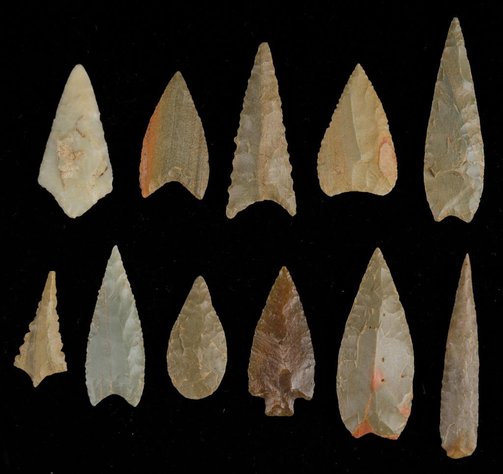 Neolithic Green Jasper Arrowheads (11): This lot consists of 11 Neolithic arrowheads that are 4,000 - 6,000 years old and made from mostly green jasper and come from only one location in Mauritania. Largest measures approx 1 5/8" L.