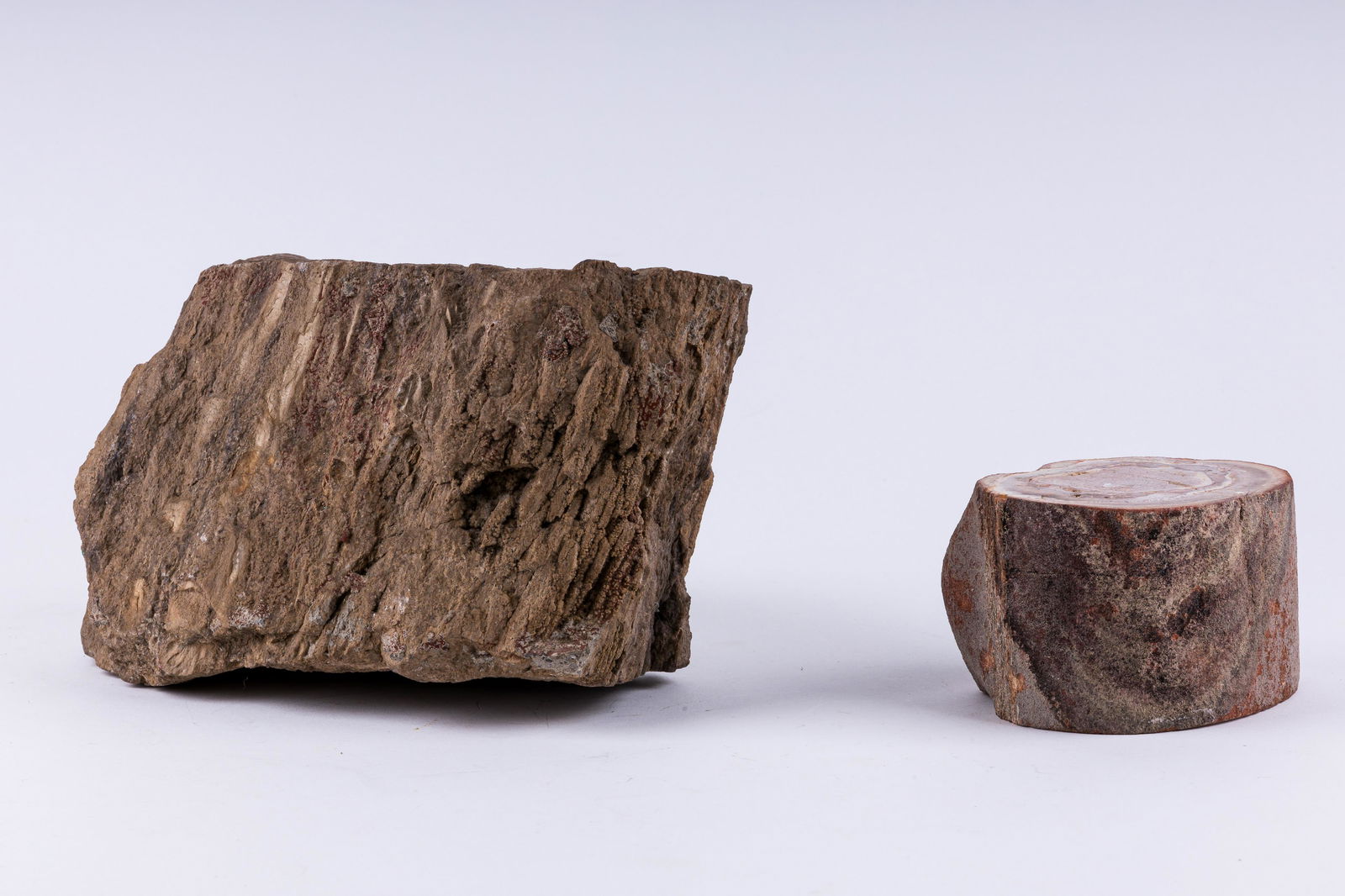 Petrified Dinosaur Bone & Wood: Lot includes a petrified dinosaur bone slice measuring approx 3" x 4.5" x 4" and has been polished on 2 sides. Also a large piece of petrified wood measuring approx 6" x 9" x 6". Total weight approx 2
