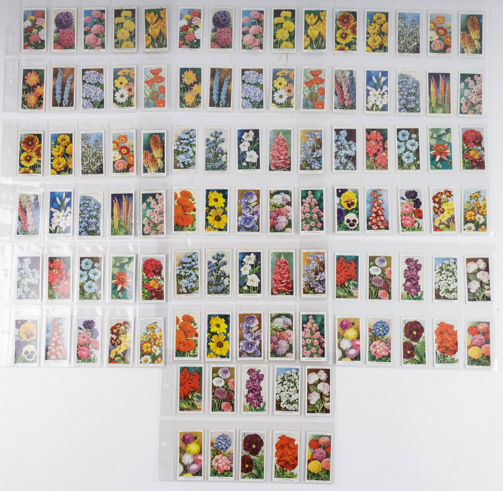 Vintage Wills Tobacco Cigarette Cards: Lot of approx 100 vintage Wills & Imperial Tobacco cigarette cards. All in plastic protector sleeves. Good condition. See photos.
