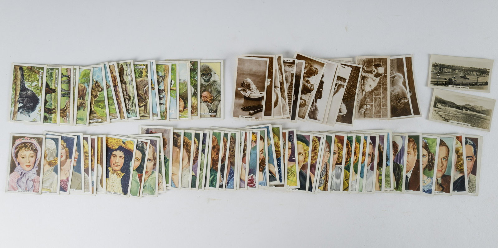 Vintage Tobacco & Cigarette Cards: Lot includes 50 Gallaher Tobacco cards with actress and actor themes (good to very good condition), two Westminster Tobacco "Real Photo" cards, 16 De Reske animals (all in good condition but one has e
