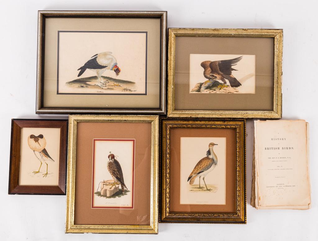 Antique History of British Birds (43): Lot of 43 antique bird lithographs including five framed birds and 38 loose. All from the book of "History of British Birds". Condition includes some rough edges, foxing, staining, creases and discolo