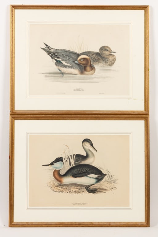 J.E.E. Gould Duck Prints (Pair) (1 of 12)