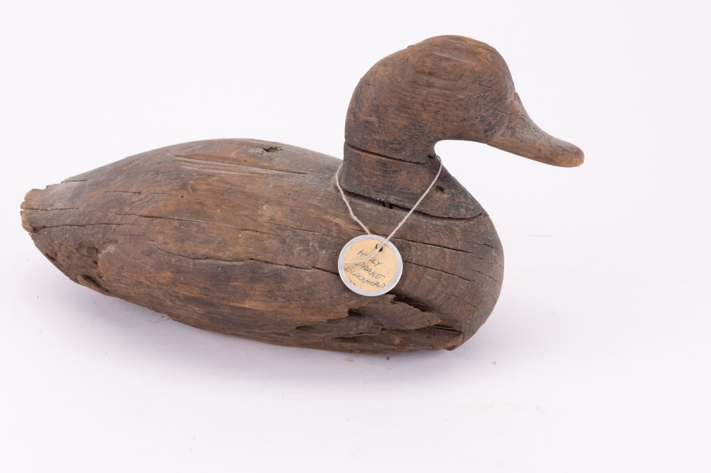 Holly Drake Blackhead Duck Decoy: 19th century Holly drake blackhead duck decoy with extensive weathering on top and loss on the bottom. Has a well aged wood and patina. Measures approx 11.5" L. Late 19th Century canvasback drake duck