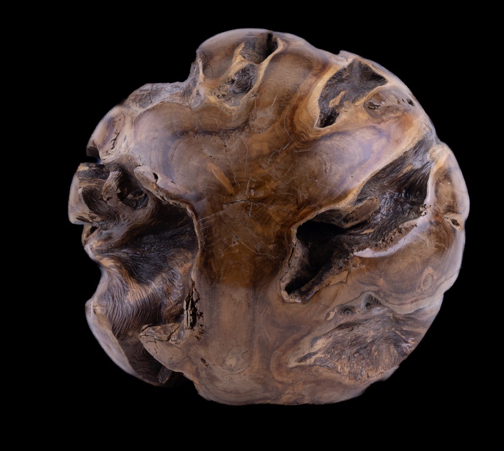 Large 14" Decorative Wood Burl Sculpture (1 of 7)