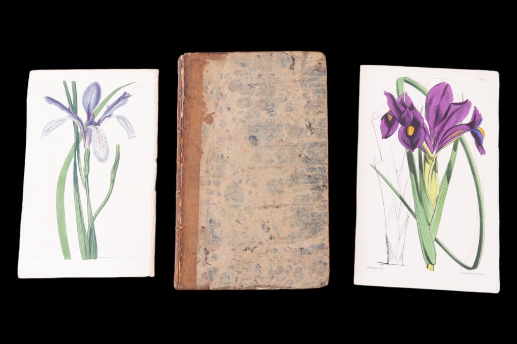 1796 Edition of Curtis' Botanical Magazine (1 of 7)