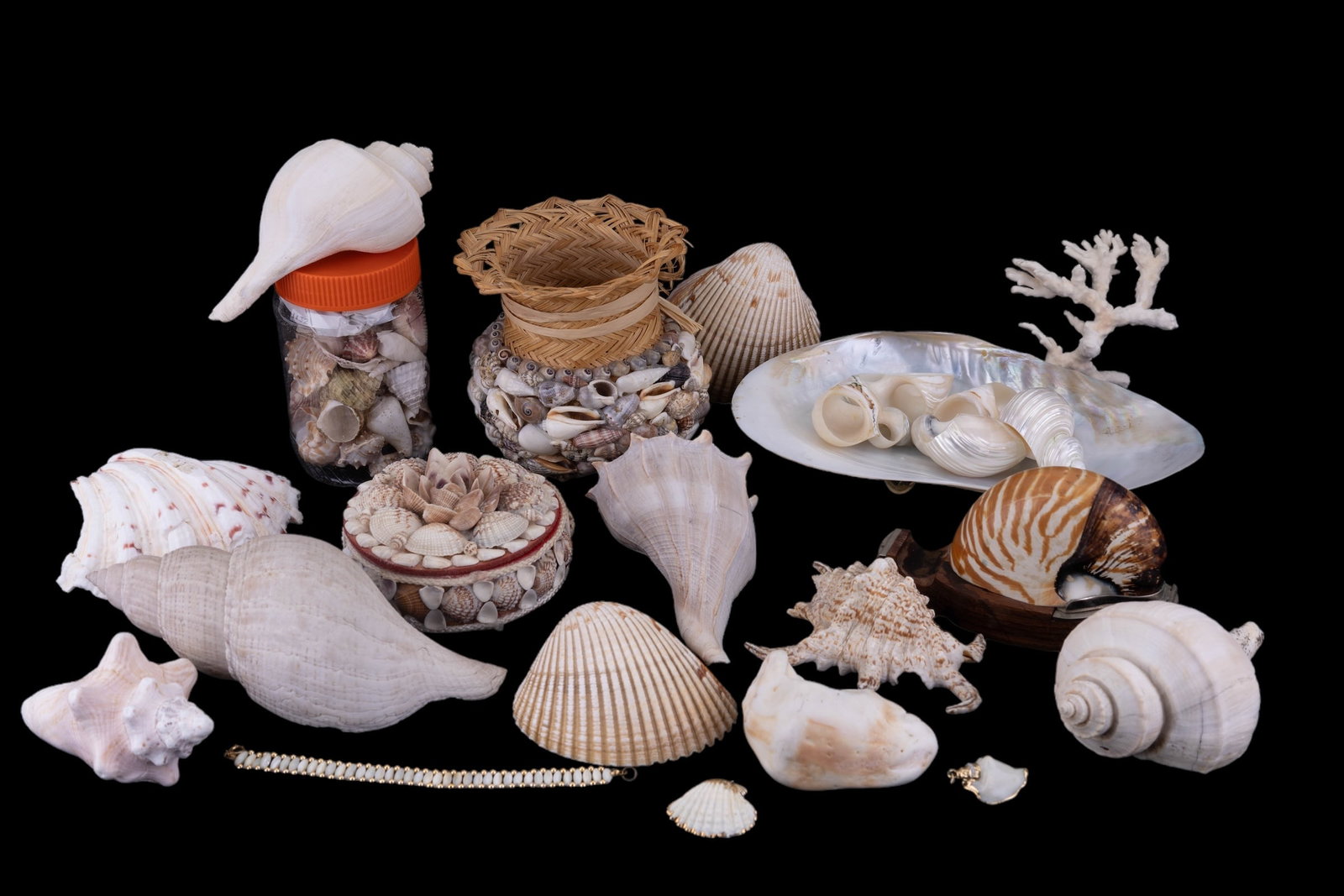 Sea Shell Decoratives: Sea shell decorative items including trinket box, nautilus tape dispenser, coral, basket, jewelry pieces, dishes and other shells.