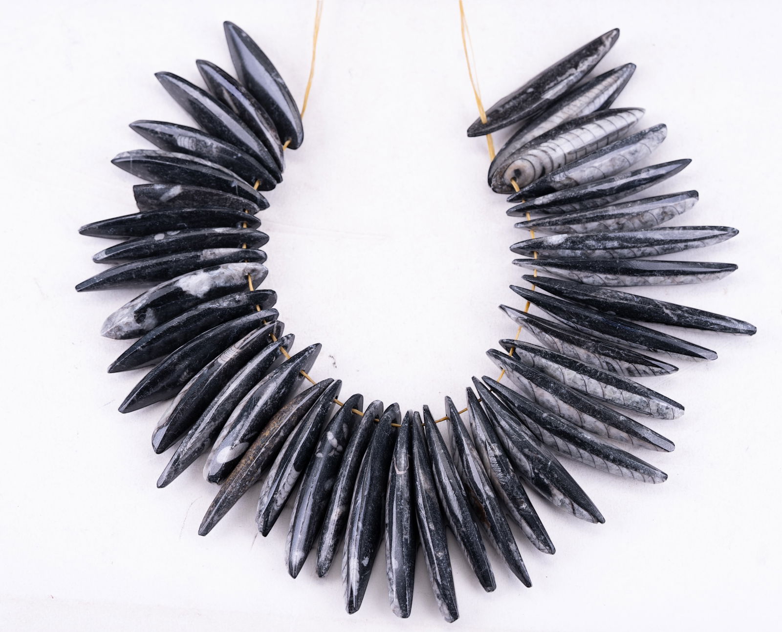 Orthoceras Fossil Pendants (40): String of 40 drilled Orthoceras fossils. Largest piece approx 2 7/8".