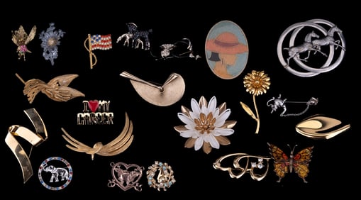 Collection of Pins and Brooches of Various Themes
