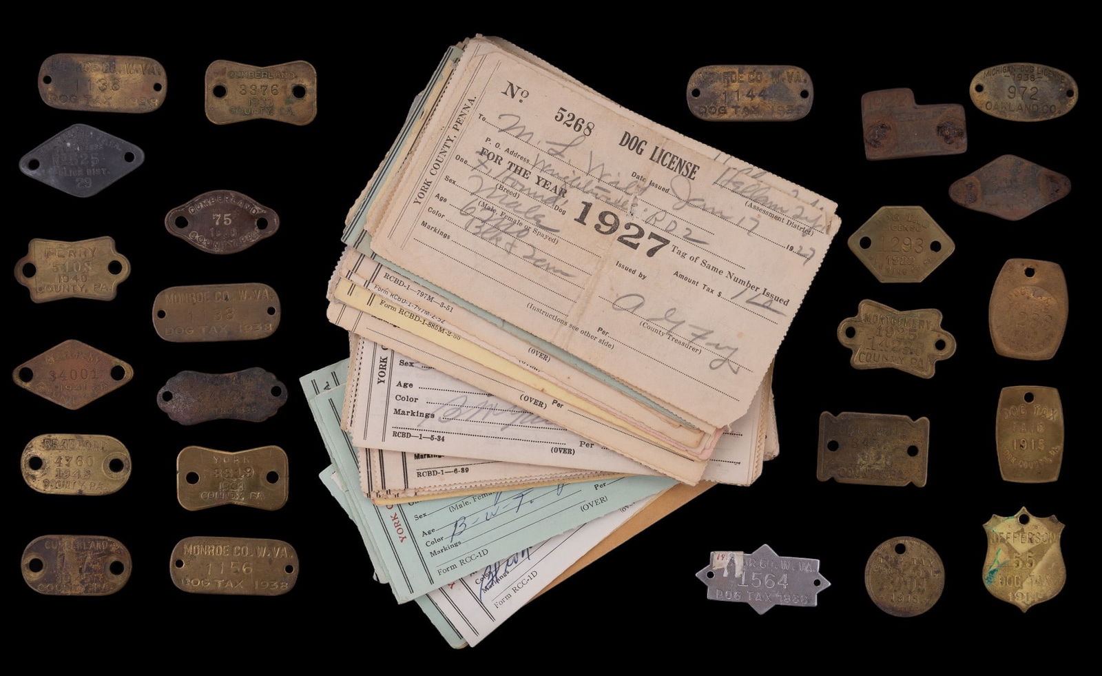 Antique Dog License Tags & Receipts (1 of 5)