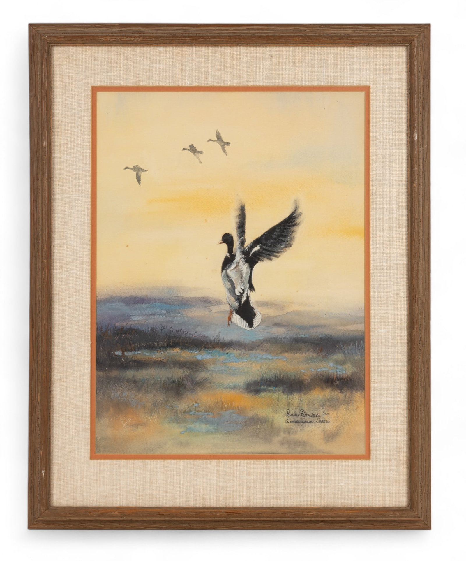 Goldeneye Drake Watercolor by Penny Schwab: Watercolor painting titled "Goldeneye Drake" by artist Penny Schwab dated 1976. Painting has some foxing and in vintage frame measuring approx. 21.75" W x 27.25" H OD with artist and gallery informati