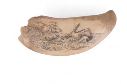 Whale Tooth Scrimshaw with Whaling Image