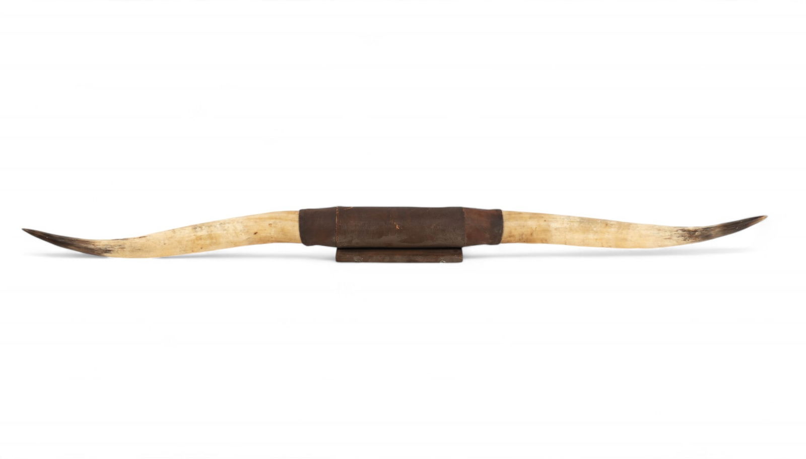 Longhorn Steer Horn Set (1 of 8)
