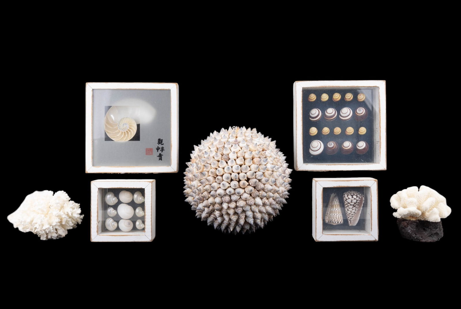 Coral and Shell Decor (1 of 18)