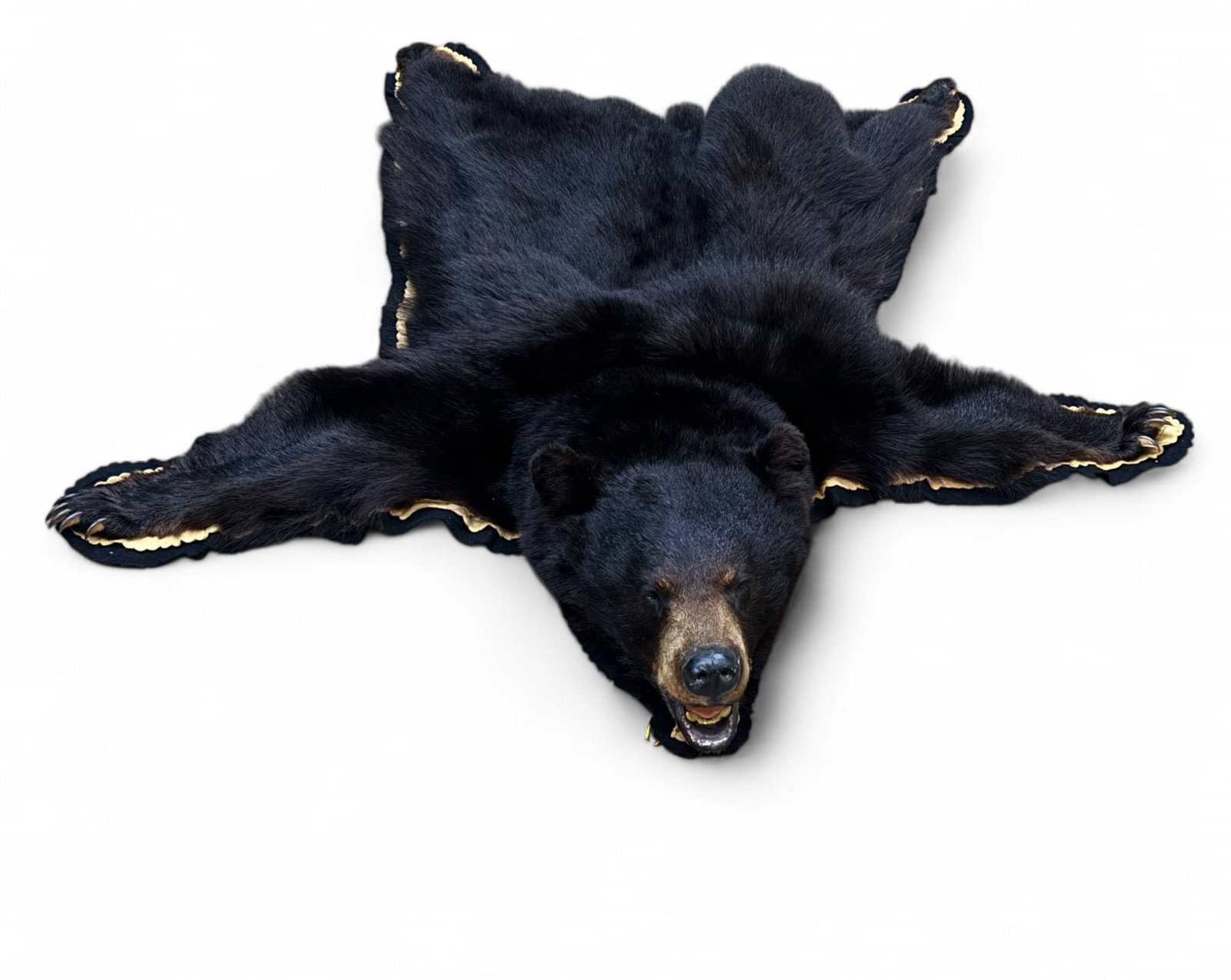 Black Bear Rug w/ Felt Liner: Black bear taxidermy rug w/ mounted head & black & light brown felt liner. Item measures approx. 6" long & 5" wide paw-to-paw. Rug comes w/ 2nd Place ribbon for the I.W.L.A. 1993 York Chapter #67 Outd