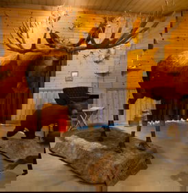 Full Size Moose Mount