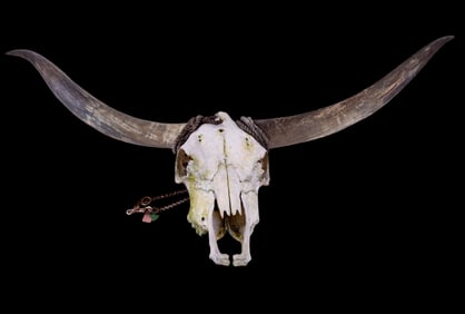 Longhorn Skull Mount